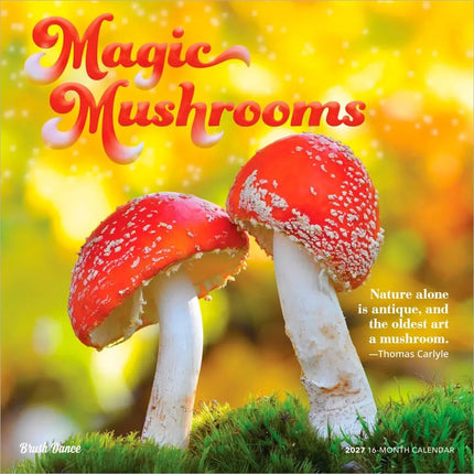 Browntrout Magische Paddenstoelen Kalender 2027