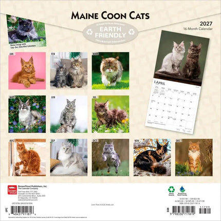 Browntrout Maine Coon Kalender 2027