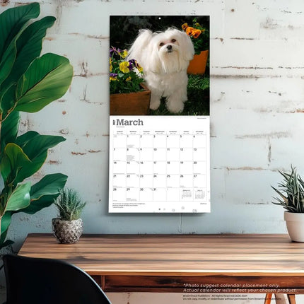Browntrout Maltezer Kalender 2027