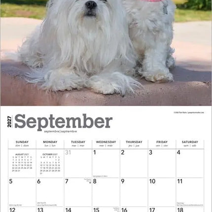 Browntrout Maltezer Kalender 2027