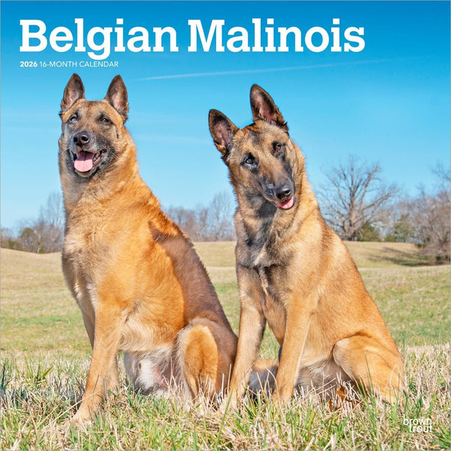 Browntrout Mechelaar Kalender 2026