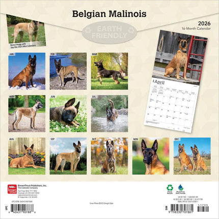 Browntrout Mechelaar Kalender 2027