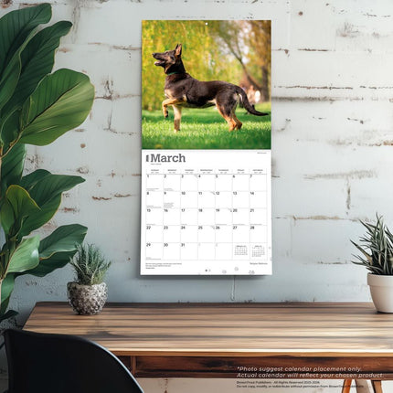 Browntrout Mechelaar Kalender 2027