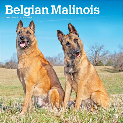 Browntrout Mechelaar Kalender 2027