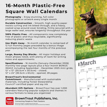 Browntrout Mechelaar Kalender 2027