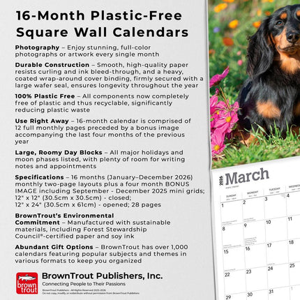 Browntrout Miniatuur Teckel Kalender 2026