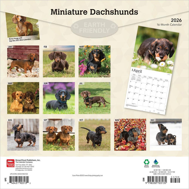 Browntrout Miniatuur Teckel Kalender 2026