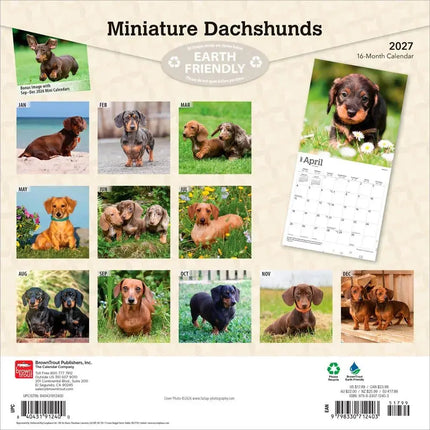 Browntrout Miniatuur Teckel Kalender 2027
