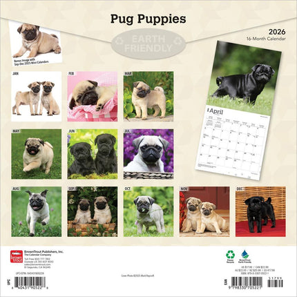 Browntrout Mopshond Puppies Kalender 2027