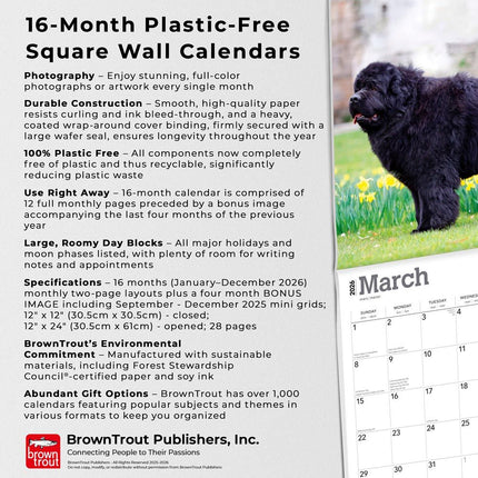 Browntrout Newfoundlander Kalender 2026
