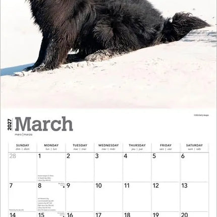 Browntrout Newfoundlander Kalender 2027
