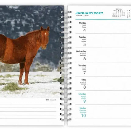 Browntrout Paarden Agenda 2027
