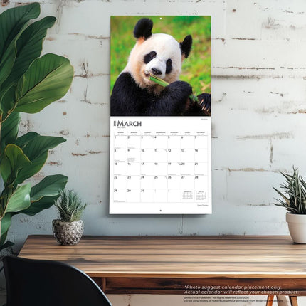 Browntrout Panda Kalender 2026