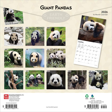 Browntrout Panda Kalender 2026