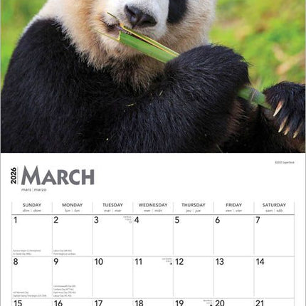 Browntrout Panda Kalender 2027