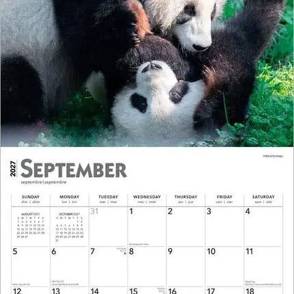 Browntrout Panda Kalender 2027