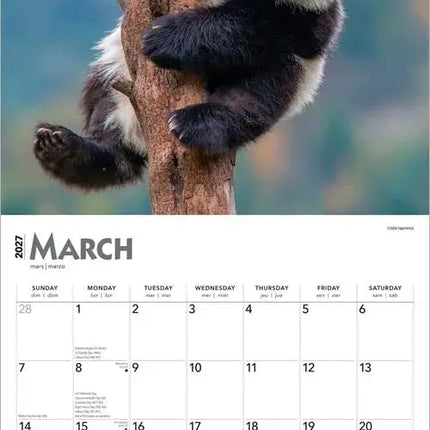 Browntrout Panda Kalender 2027