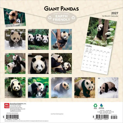 Browntrout Panda Kalender 2027