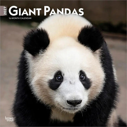 Browntrout Panda Kalender 2027