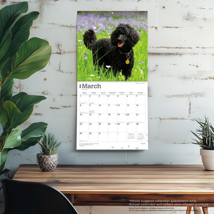 Browntrout Poedel Kalender 2026