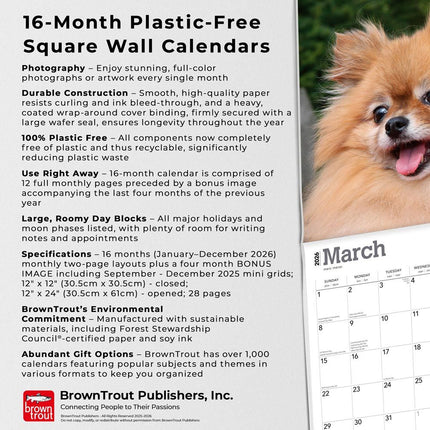 Browntrout Pomeranian Kalender 2026