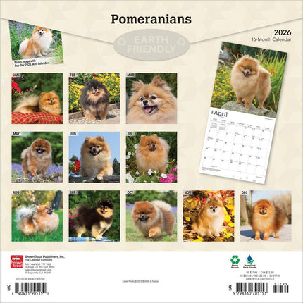 Browntrout Pomeranian Kalender 2026