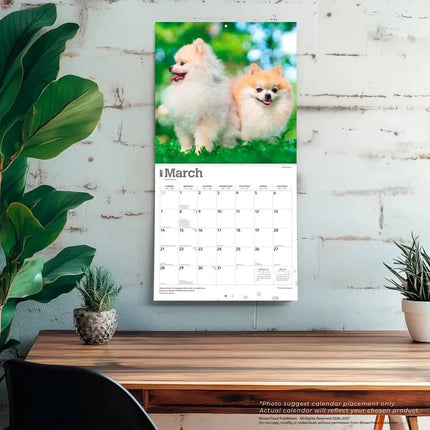 Browntrout Pomeranian Kalender 2027