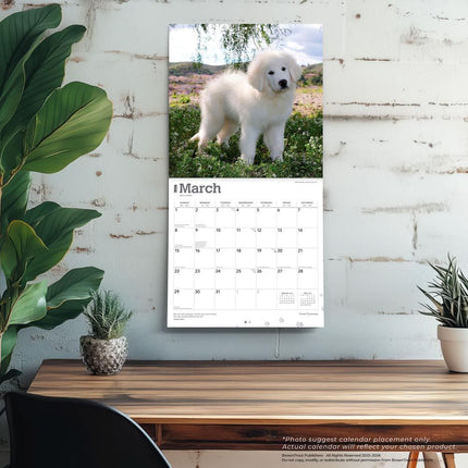 Browntrout Pyreneese Berghond Kalender 2026