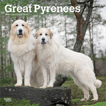 Browntrout Pyreneese Berghond Kalender 2026