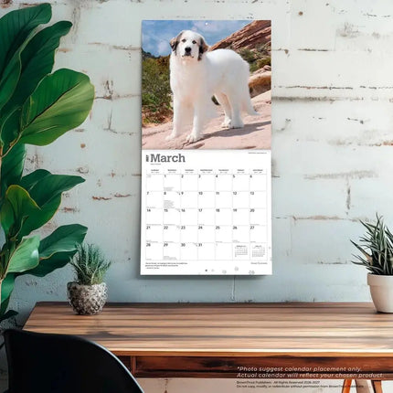 Browntrout Pyreneese Berghond Kalender 2027