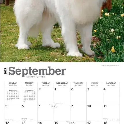 Browntrout Pyreneese Berghond Kalender 2027