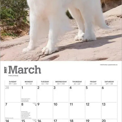 Browntrout Pyreneese Berghond Kalender 2027