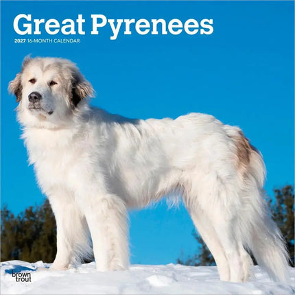 Browntrout Pyreneese Berghond Kalender 2027