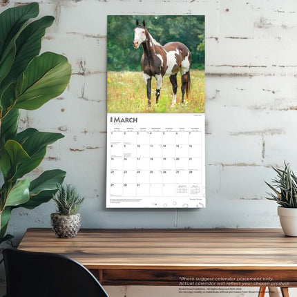 Browntrout Quarter Horse Kalender 2026