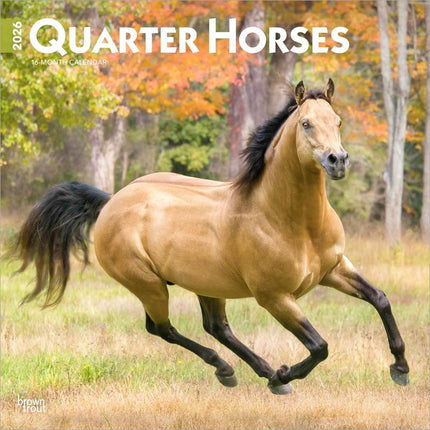 Browntrout Quarter Horse Kalender 2026