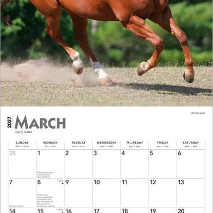 Browntrout Quarter Horse Kalender 2027