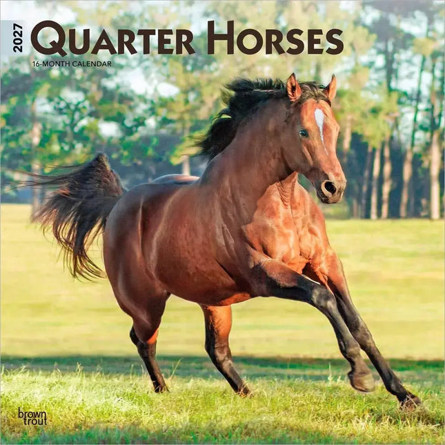 Browntrout Quarter Horse Kalender 2027