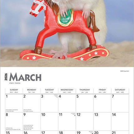 Browntrout Ratten Kalender 2026