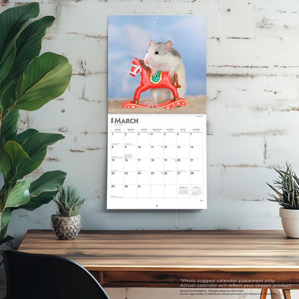 Browntrout Ratten Kalender 2027