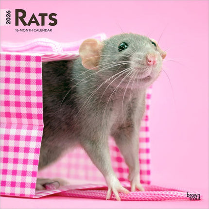 Browntrout Ratten Kalender 2027