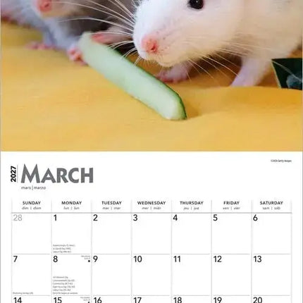 Browntrout Ratten Kalender 2027