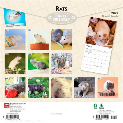Browntrout Ratten Kalender 2027