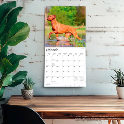 Browntrout Rhodesian Ridgeback Kalender 2027