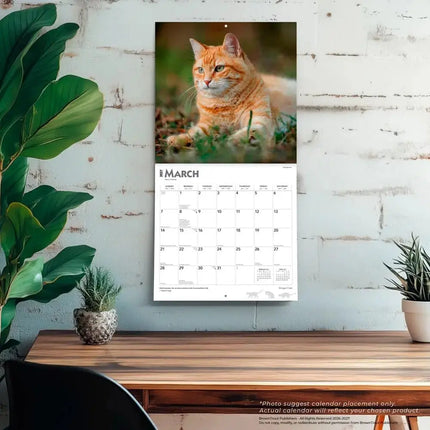Browntrout Rode Katten Kalender 2027