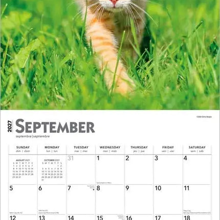 Browntrout Rode Katten Kalender 2027