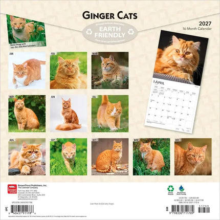 Browntrout Rode Katten Kalender 2027
