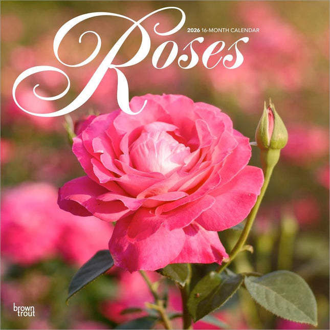 Browntrout Roses Kalender 2026