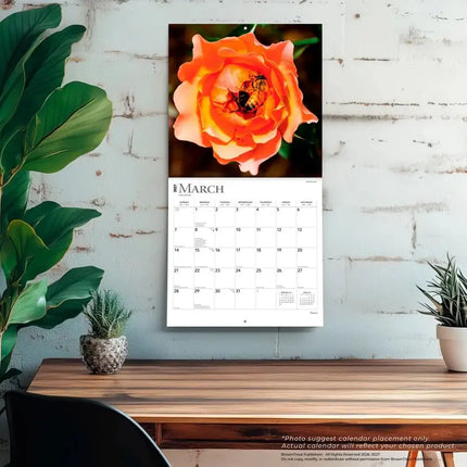 Browntrout Roses Kalender 2027