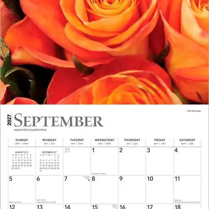 Browntrout Roses Kalender 2027