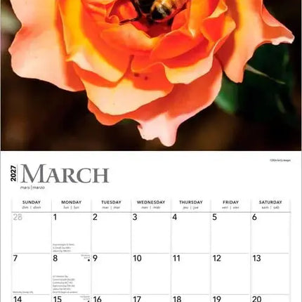 Browntrout Roses Kalender 2027